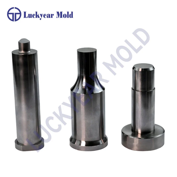 যথার্থ পাঞ্চ